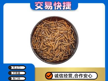 葫芦岛连山区回收散虫草